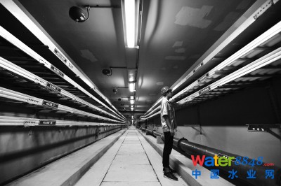 ³Ǻ͐·CϹ ӛ ʩo z