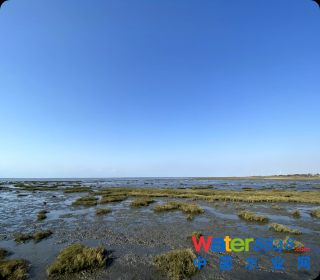 �˹�������˹���ؽ��O(sh��)