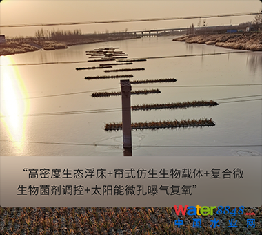 �˹����ʾ������